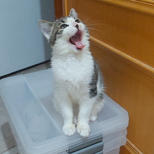 André